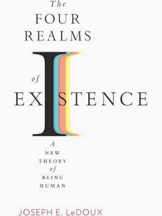Cover of The Four Realms of Existence by Joseph E. LeDoux